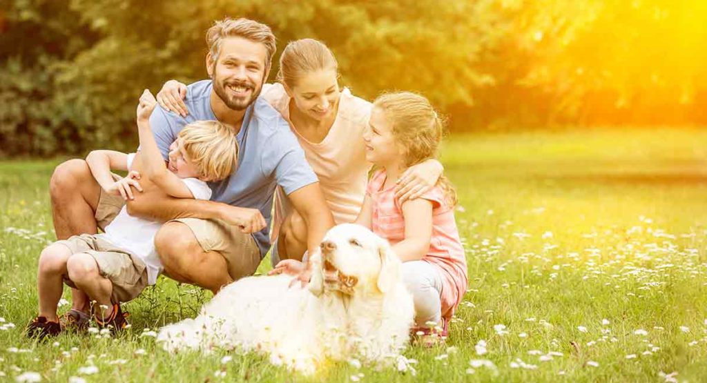 What Breeds of Dog Are Suitable as a Family Pet?
